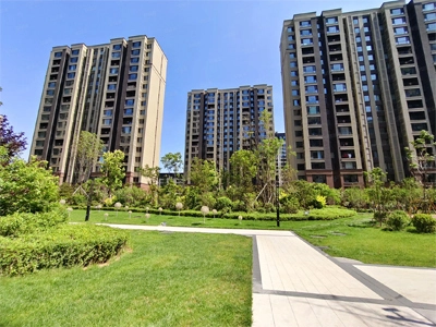 تشينغداو فانكي المجتمع رفع المقبل