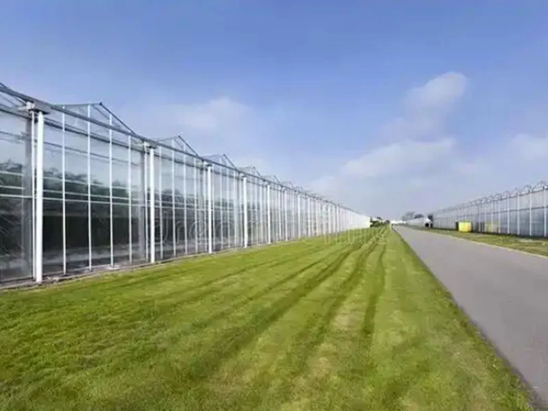 تحليل مزايا الدفيئات الزجاجية الذكية