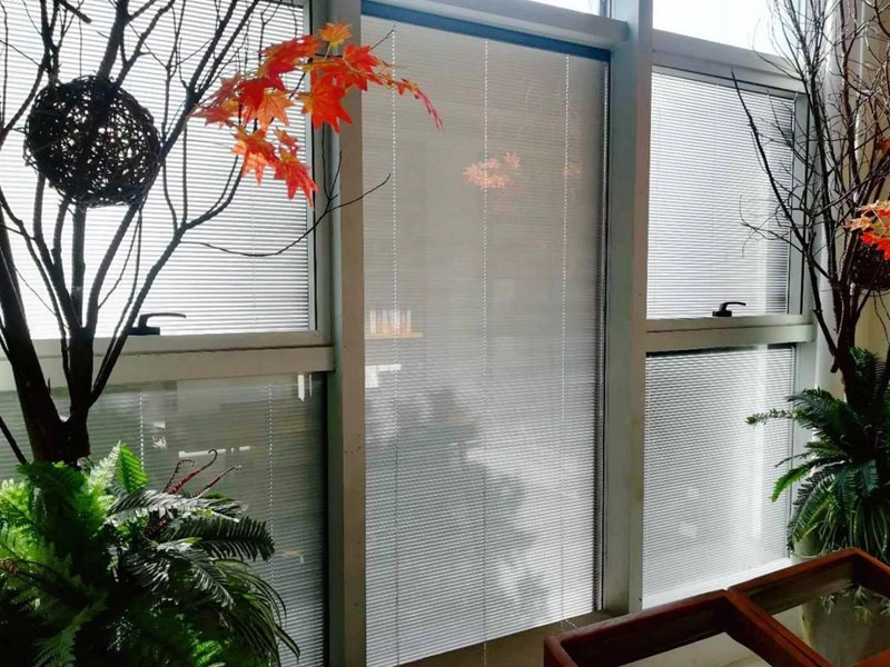 زجاج معزول أعمى-تنظيف سهل وعازل للصوت وتأثير تظليل أفضل